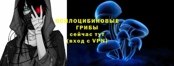 гидра Новозыбков