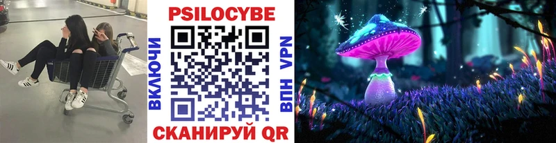 Псилоцибиновые грибы мицелий  Кимовск 