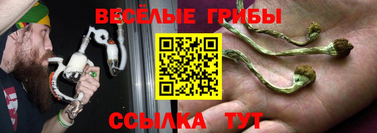 Кимовск  Галлюциногенные грибы Magic Shrooms  Вход с VPN  купить  сайты  Галлюциногенные грибы GOLDEN TEACHER 